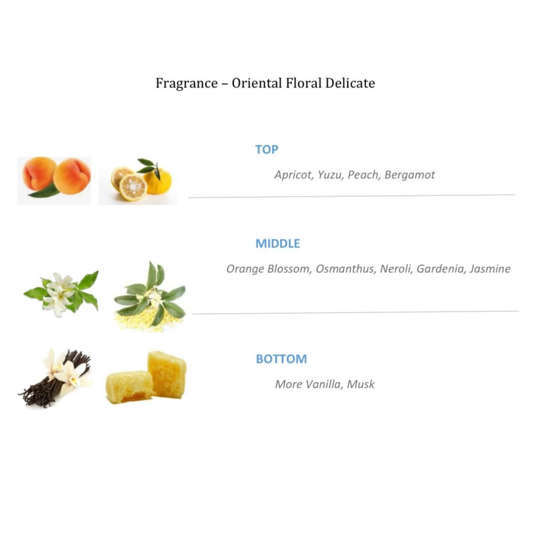 PRE-ORDER: NVCF – 100ml Eau de Parfum