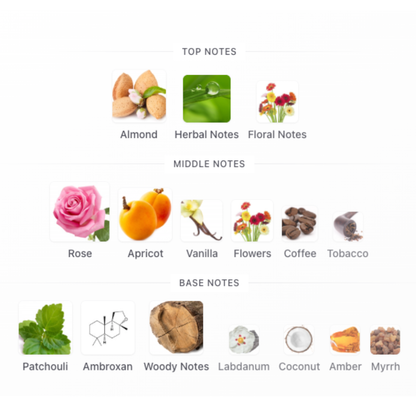 Cafecito – 100ml Extrait de Parfum