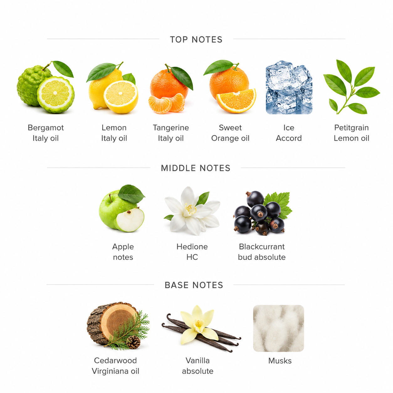 PRE-ORDER: WOODER ICE – 100ml Extrait de Parfum